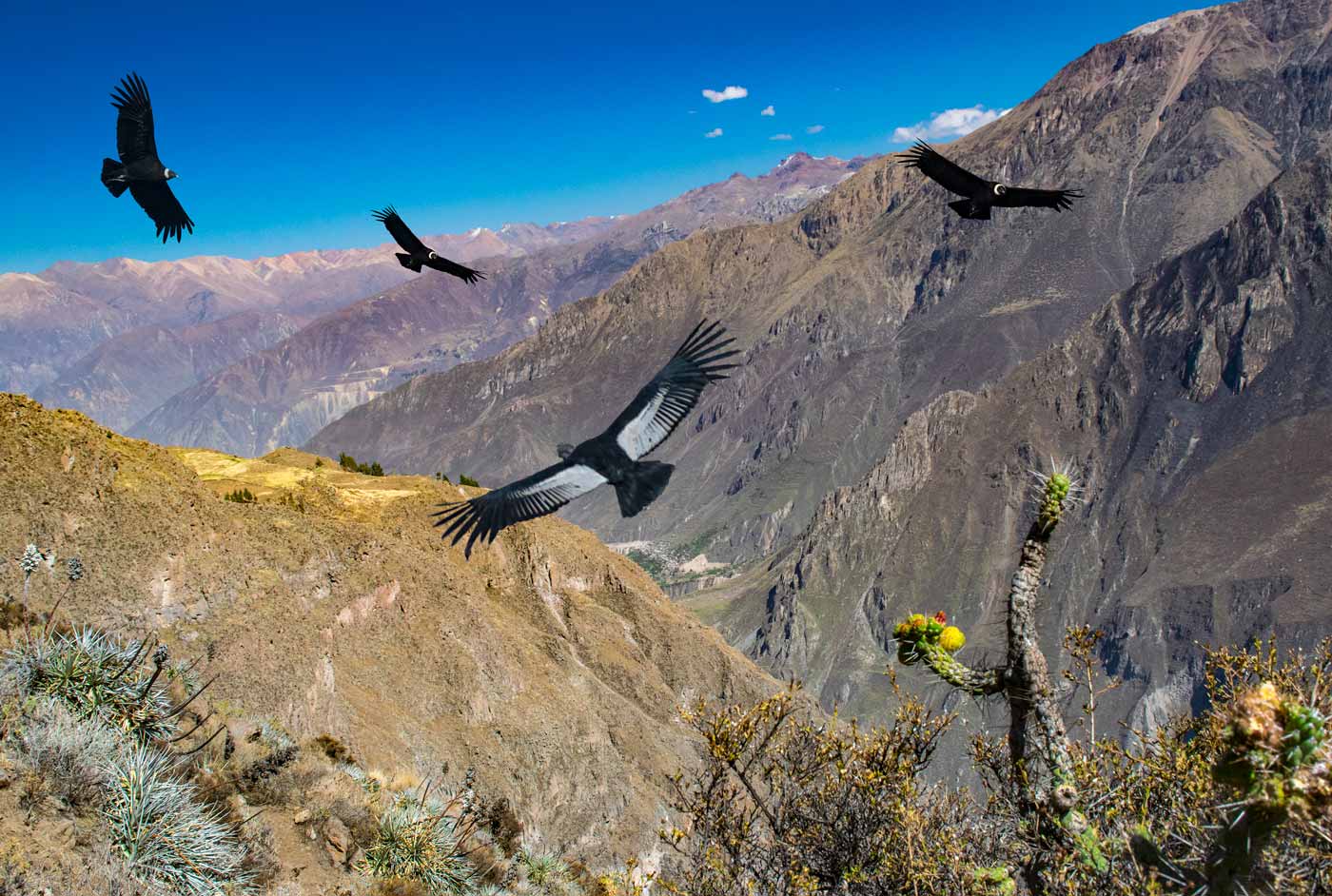 Valle del Colca