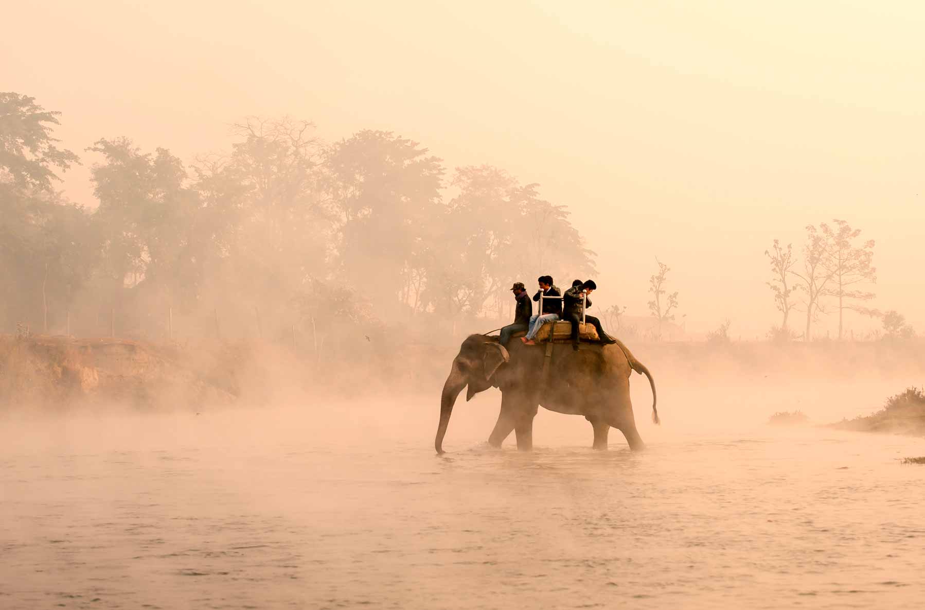 Parque Nacionalde Chitwan